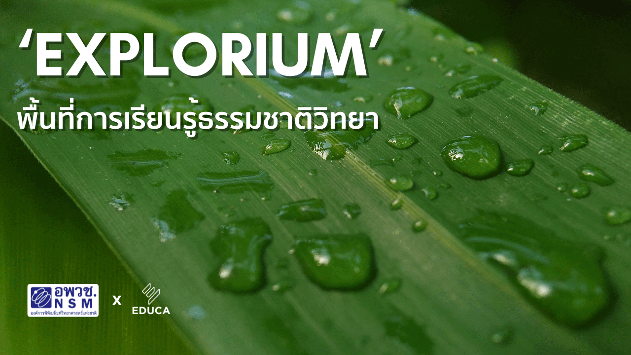 ‘Explorium’ พื้นที่การเรียนรู้ธรรมชาติวิทยา