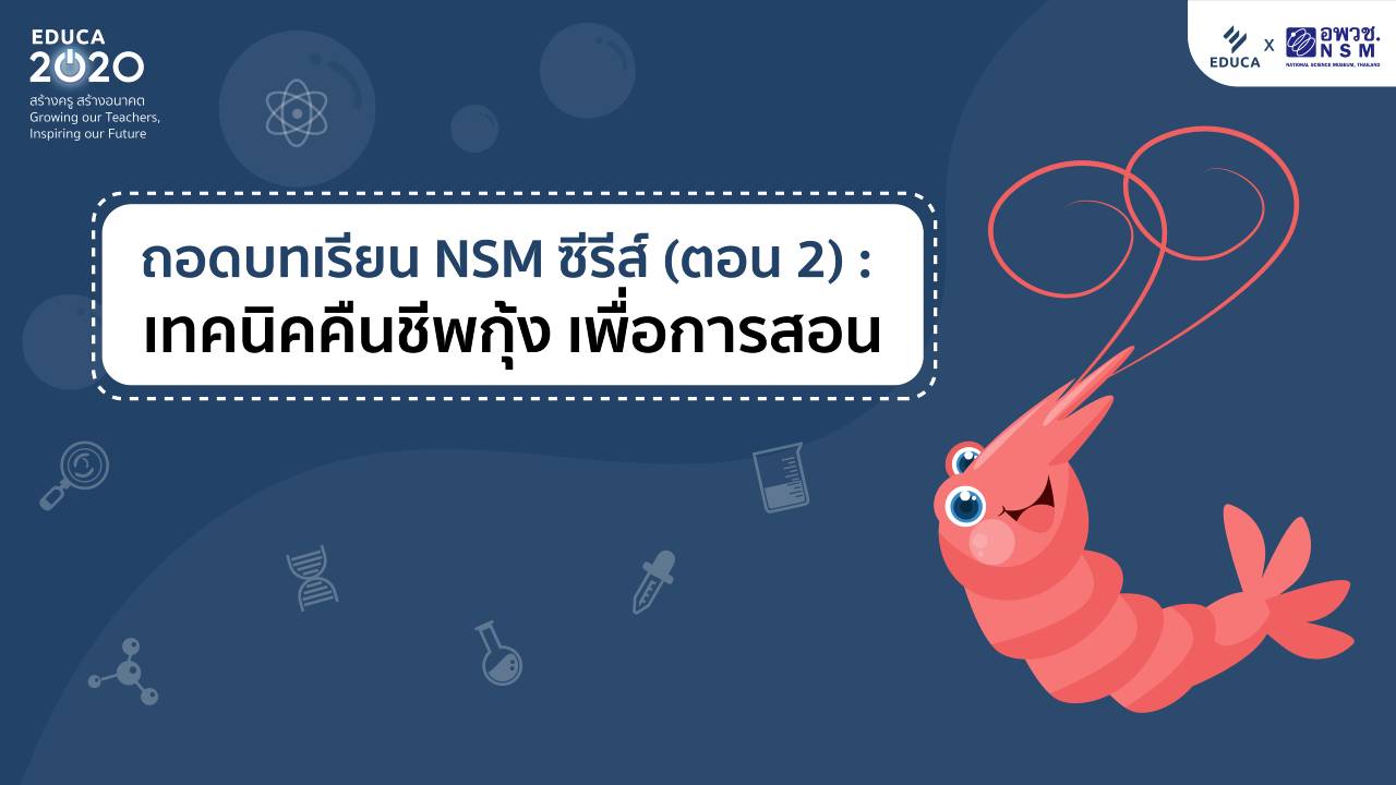 ถอดบทเรียน NSM ซีรีส์ (ตอน 2): เทคนิคคืนชีพกุ้ง สร้างสื่อให้เด็กว้าว